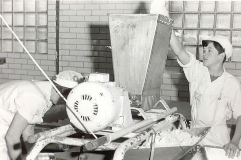 Timeline 1950