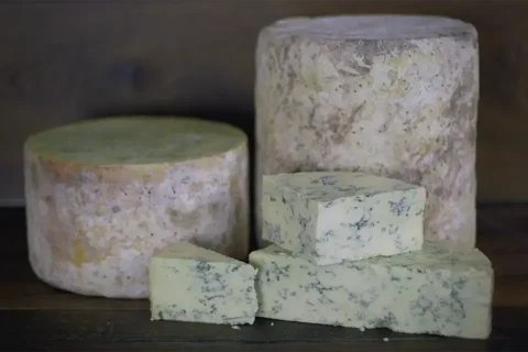 pdo-stitlon-cheese